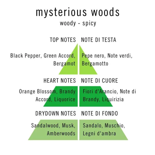 UNKNOWN PLEASURE - MYSTERIOUS WOODS