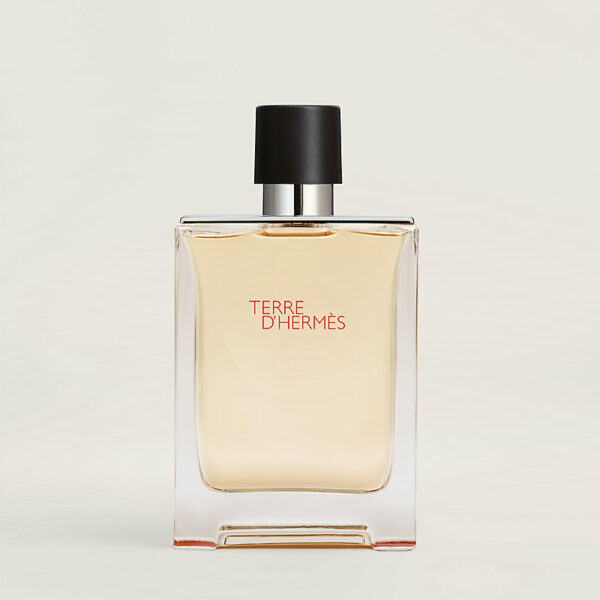 TERRE D'HERMES EAU DE TOILETTE