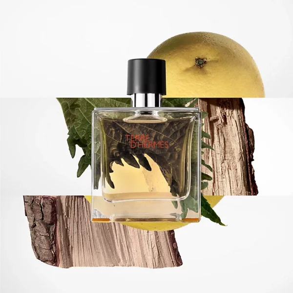 TERRE D'HERMES EAU DE TOILETTE